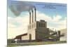 Oak Ridge Powerhouse, Tennessee-null-Mounted Art Print