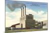 Oak Ridge Powerhouse, Tennessee-null-Mounted Art Print