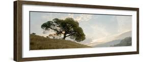 Oak Tree #10 Pano-Alan Blaustein-Framed Photographic Print