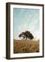 Oak Tree #12-Alan Blaustein-Framed Photographic Print