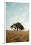 Oak Tree #12-Alan Blaustein-Framed Photographic Print