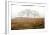 Oak Tree #16-Alan Blaustein-Framed Photographic Print