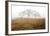 Oak Tree #16-Alan Blaustein-Framed Photographic Print