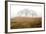 Oak Tree #16-Alan Blaustein-Framed Photographic Print