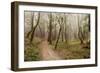 Oak Tree #21-Alan Blaustein-Framed Photographic Print