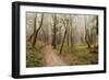 Oak Tree #21-Alan Blaustein-Framed Photographic Print