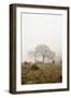 Oak Tree #26-Alan Blaustein-Framed Photographic Print