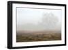 Oak Tree #28-Alan Blaustein-Framed Photographic Print