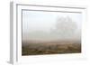 Oak Tree #28-Alan Blaustein-Framed Photographic Print