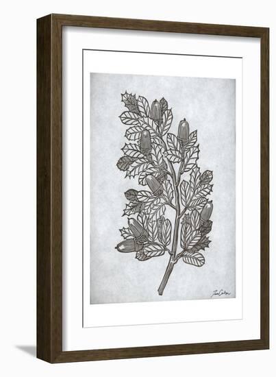 Oak Tree 2-Tina Carlson-Framed Art Print