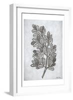 Oak Tree 2-Tina Carlson-Framed Art Print