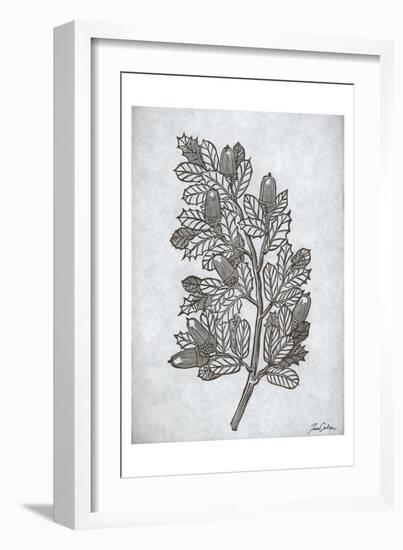 Oak Tree 2-Tina Carlson-Framed Art Print