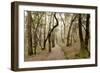 Oak Tree #47-Alan Blaustein-Framed Premium Photographic Print