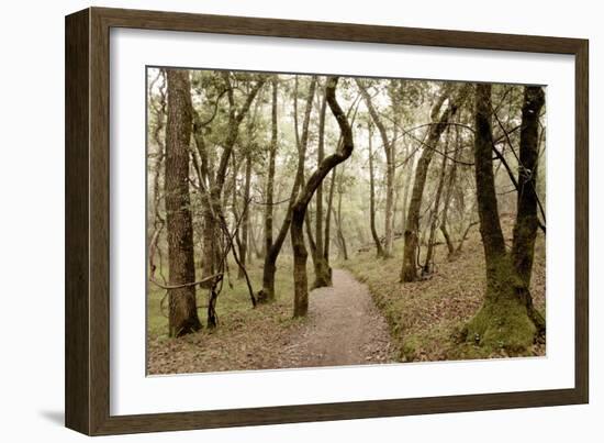 Oak Tree #47-Alan Blaustein-Framed Photographic Print