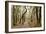 Oak Tree #47-Alan Blaustein-Framed Photographic Print