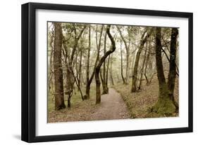 Oak Tree #47-Alan Blaustein-Framed Photographic Print