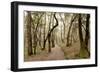 Oak Tree #47-Alan Blaustein-Framed Photographic Print