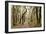 Oak Tree #47-Alan Blaustein-Framed Photographic Print