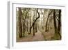 Oak Tree #47-Alan Blaustein-Framed Photographic Print