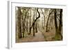 Oak Tree #47-Alan Blaustein-Framed Photographic Print