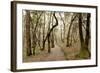 Oak Tree #47-Alan Blaustein-Framed Photographic Print