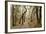 Oak Tree #47-Alan Blaustein-Framed Photographic Print