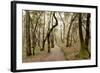 Oak Tree #47-Alan Blaustein-Framed Photographic Print