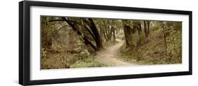 Oak Tree #50-Alan Blaustein-Framed Photographic Print