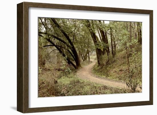 Oak Tree #51-Alan Blaustein-Framed Photographic Print