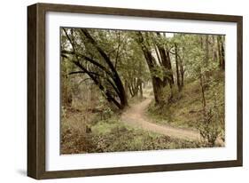 Oak Tree #51-Alan Blaustein-Framed Photographic Print