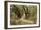 Oak Tree #51-Alan Blaustein-Framed Photographic Print