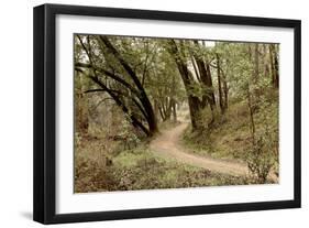 Oak Tree #51-Alan Blaustein-Framed Photographic Print