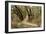 Oak Tree #51-Alan Blaustein-Framed Photographic Print