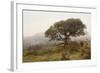Oak Tree #54-Alan Blaustein-Framed Photographic Print