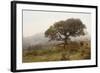 Oak Tree #54-Alan Blaustein-Framed Photographic Print