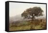 Oak Tree #54-Alan Blaustein-Framed Stretched Canvas