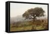 Oak Tree #54-Alan Blaustein-Framed Stretched Canvas