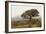 Oak Tree #54-Alan Blaustein-Framed Photographic Print