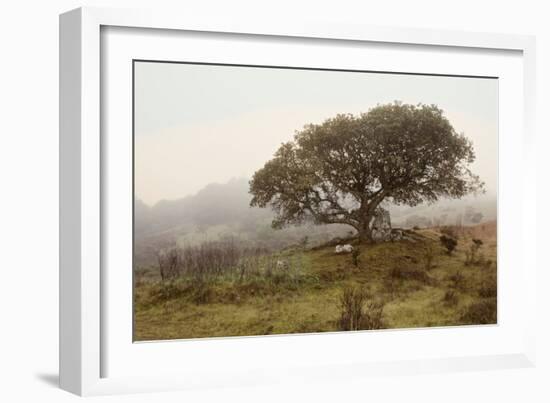 Oak Tree #54-Alan Blaustein-Framed Photographic Print