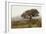 Oak Tree #54-Alan Blaustein-Framed Photographic Print