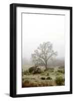 Oak Tree #56-Alan Blaustein-Framed Photographic Print