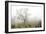 Oak Tree #62-Alan Blaustein-Framed Photographic Print