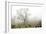 Oak Tree #62-Alan Blaustein-Framed Photographic Print