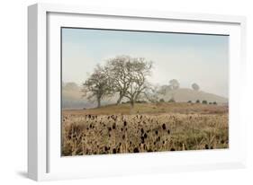 Oak Tree #68-Alan Blaustein-Framed Photographic Print