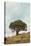 Oak Tree #74-Alan Blaustein-Stretched Canvas