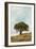 Oak Tree #74-Alan Blaustein-Framed Photographic Print