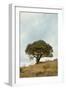 Oak Tree #74-Alan Blaustein-Framed Photographic Print