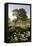 Oak Tree #90-Alan Blaustein-Framed Stretched Canvas