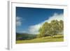 Oak Tree and Central Valley Hills, California-Vincent James-Framed Photographic Print