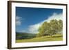 Oak Tree and Central Valley Hills, California-Vincent James-Framed Photographic Print